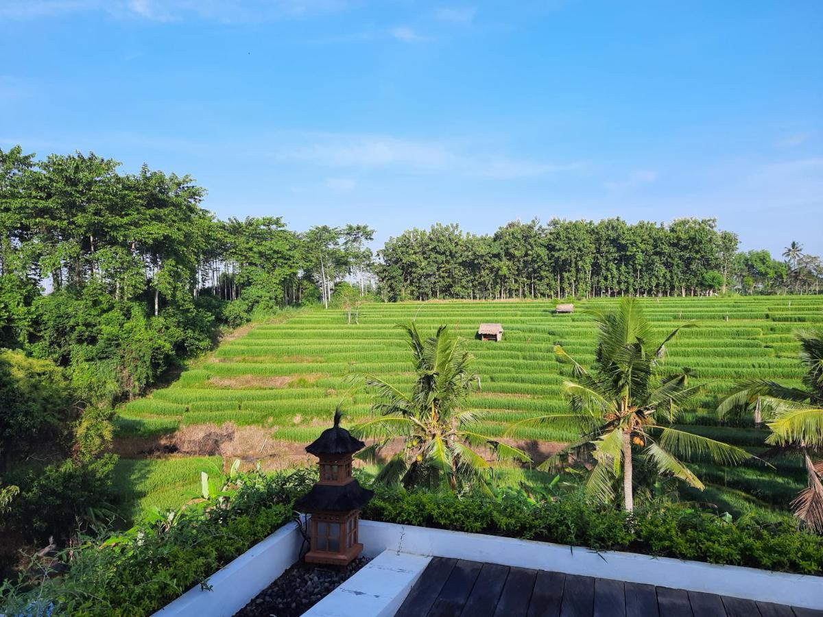 Serenity Private Villa Mas Ubud 外观 照片