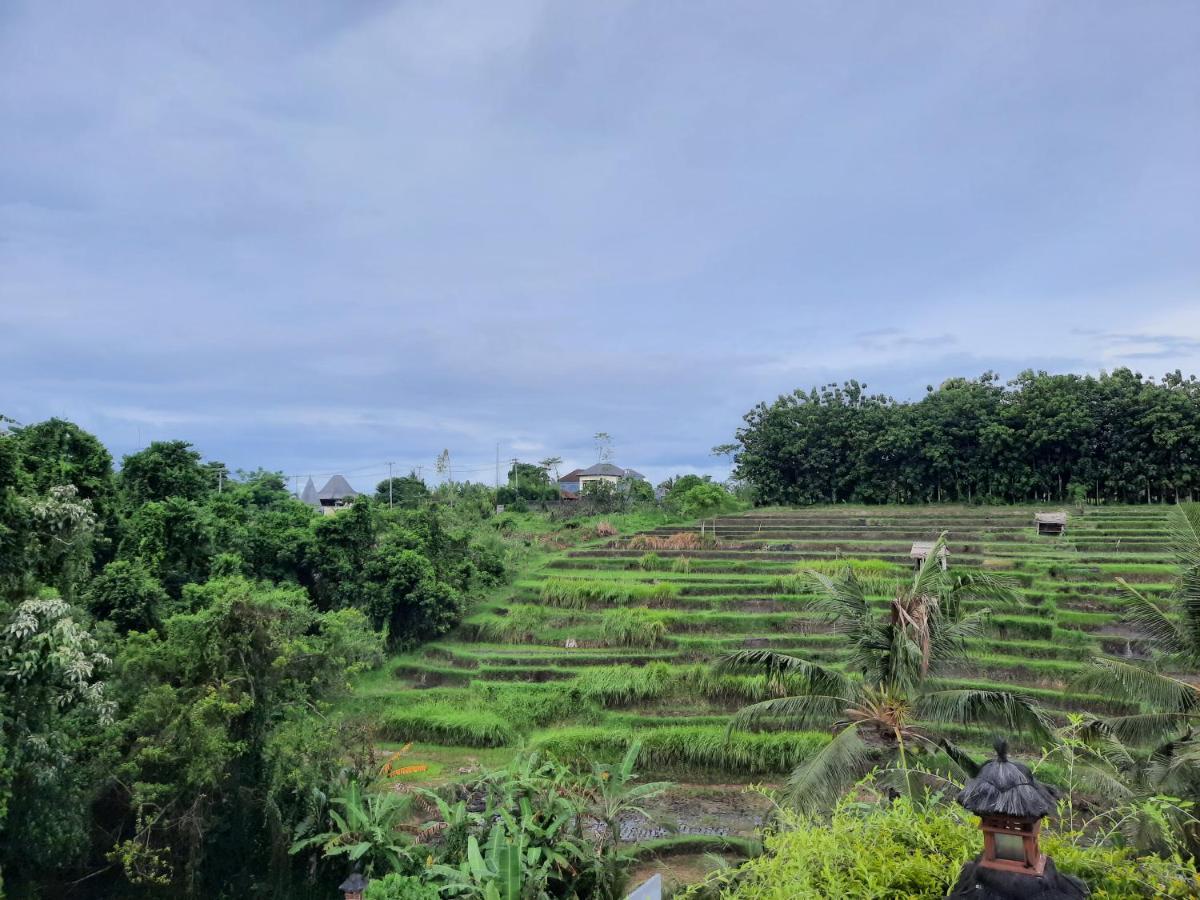 Serenity Private Villa Mas Ubud 外观 照片