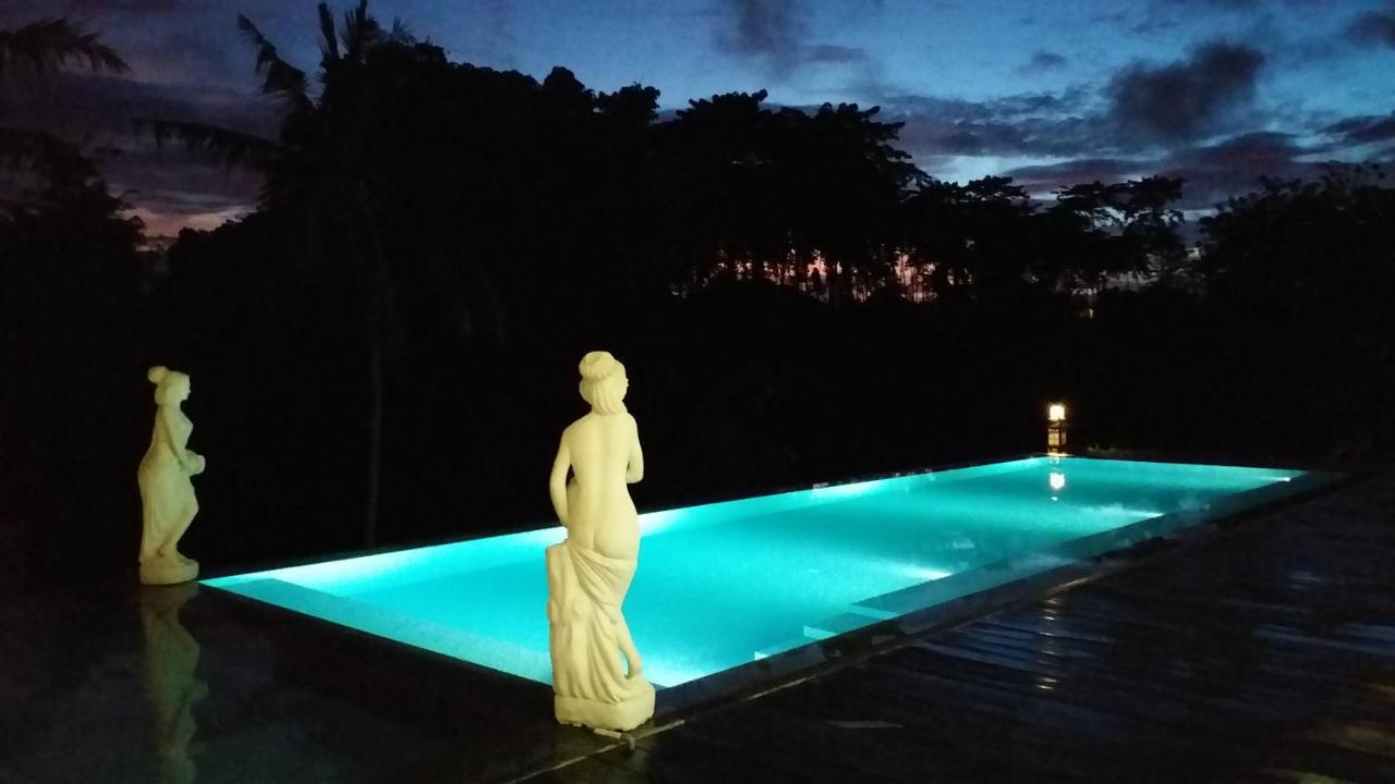 Serenity Private Villa Mas Ubud 外观 照片