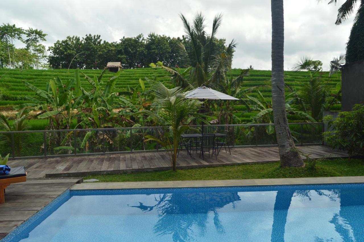 Serenity Private Villa Mas Ubud 外观 照片