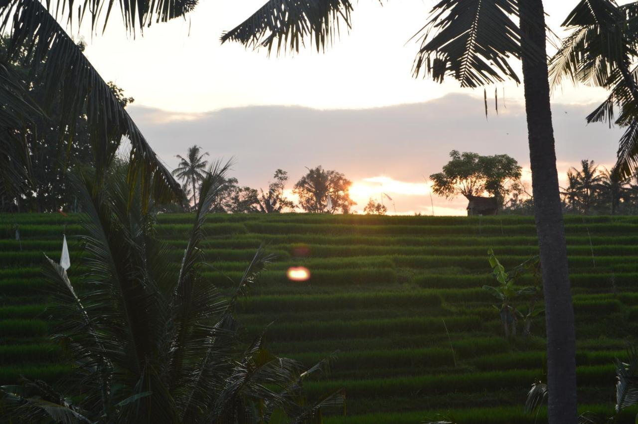 Serenity Private Villa Mas Ubud 外观 照片