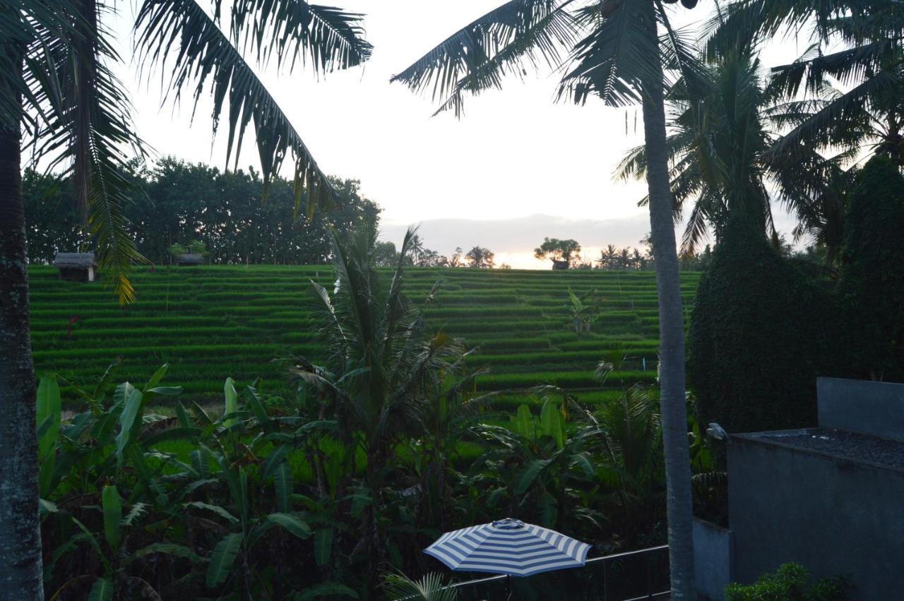Serenity Private Villa Mas Ubud 外观 照片