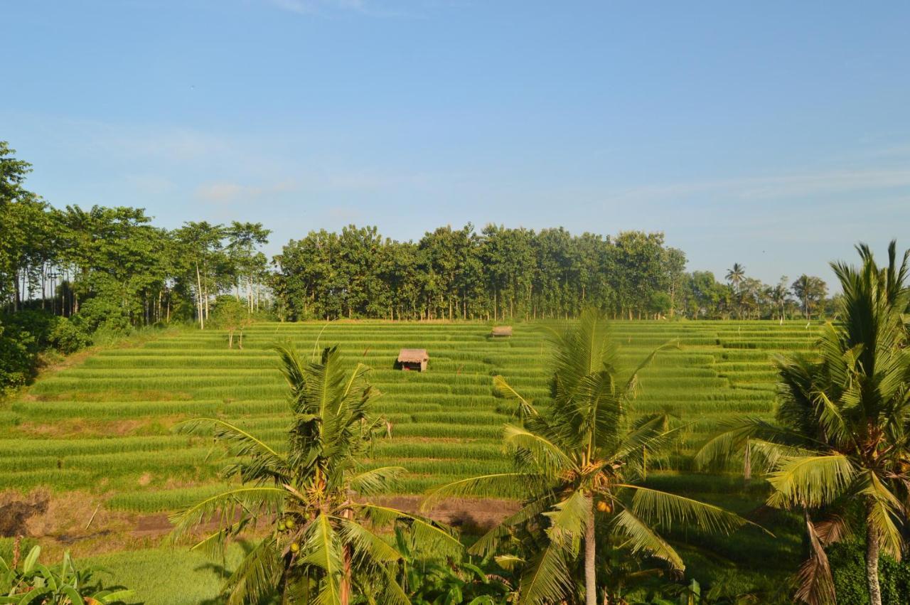 Serenity Private Villa Mas Ubud 外观 照片